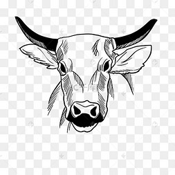 线描牛头