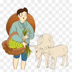 农民放牧喂羊