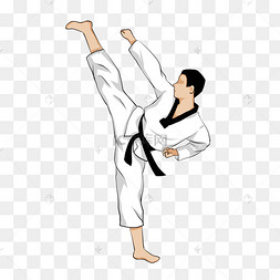 跆拳道飞踢