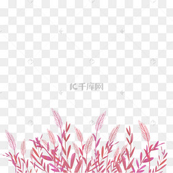 粉黛乱子草丛底边