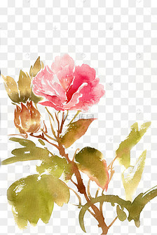 红色的木芙蓉素材图片免费下载-千库网