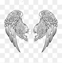 黑白手绘炫酷简约翅膀