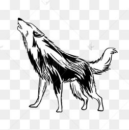 手绘卡通凶狠狼全身插画