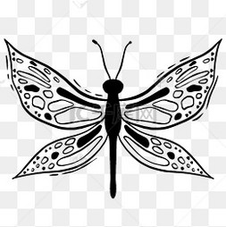 黑白线性简约蝴蝶