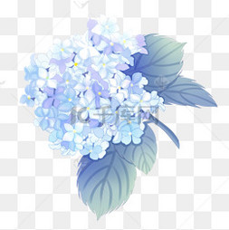 紫阳花手绘图片 紫阳花手绘图片素材免费下载 千库网 紫阳花手绘图片 紫阳花手绘图片素材免费下载 千库网