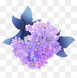 紫阳花手绘图片 紫阳花手绘图片素材免费下载 千库网 紫阳花手绘图片 紫阳花手绘图片素材免费下载 千库网
