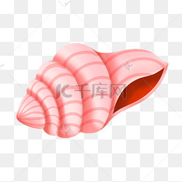 卡通手绘可爱淡粉色海螺