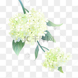 紫阳花手绘图片 紫阳花手绘图片素材免费下载 千库网 紫阳花手绘图片 紫阳花手绘图片素材免费下载 千库网