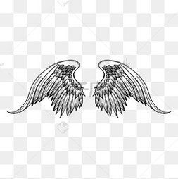 黑白帅气天使翅膀