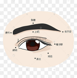 经络刷主图图片_经络刷主图设计图片素材大全-千库网