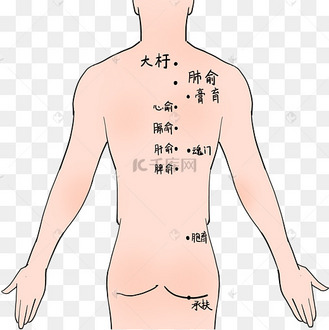 人体穴位上身