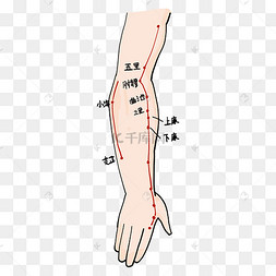 手臂刮痧位置示意图图片