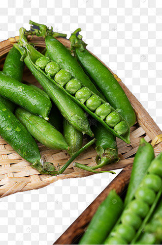 甜豆蜜豆甜豌豆新鲜果蔬摄影图