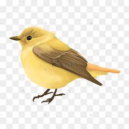 卡通黄色的小鸟免抠图中国风格花鸟画黄鸟创意卡通可爱小黄鸟我爱学习