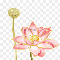 png下载psd中国风水墨黑白莲花莲蓬下载 png下载psd金莲花花朵莲蓬