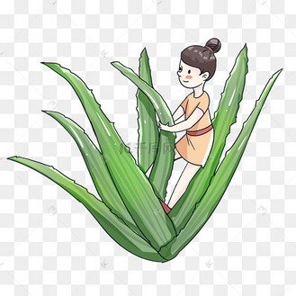 植物小人国人物可爱夸张女孩芦荟小草