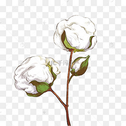 仿真手绘新疆棉花白色