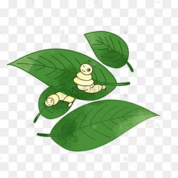 蚕吐丝蚕结茧蚕结茧蚕茧壳蚕蛹热门收藏热门下载最新上传昨日热门推荐