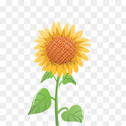 手绘卡通黄色的向日葵
