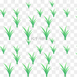 绿色秧苗