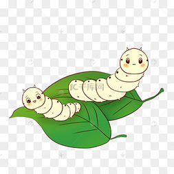 桑叶上的白色春蚕