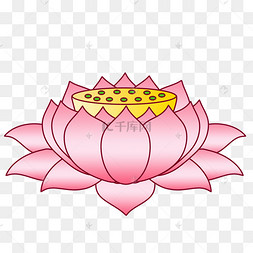 莲花座粉色古风国潮底座