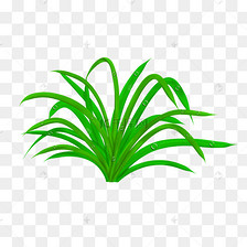 卡通植物小草花草素材图片免费下载-千库网