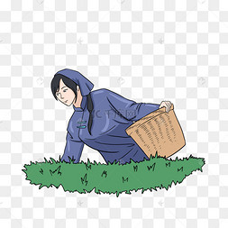 茶园里的采茶女