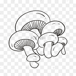 黑白线描蔬菜