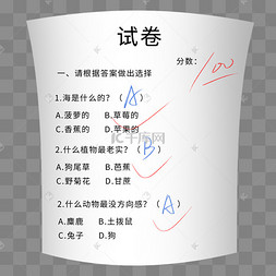 考试100分满分试卷