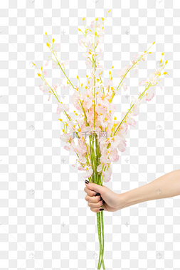 兰花花枝