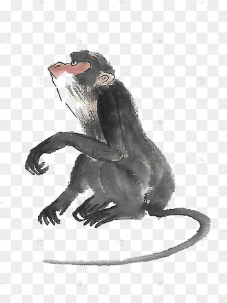 水墨猴子的简单画法图片