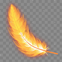 金色发光羽毛装饰品
