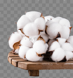 新疆棉花