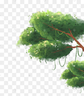 夏季女孩植物手绘插画