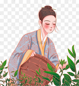 采茶女