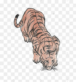 趴着的水墨动物老虎