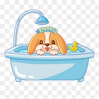 洗澡沐浴洗护用品洗澡的狗