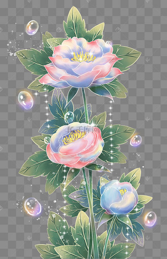 梦幻牡丹花卉花朵泡泡植物
