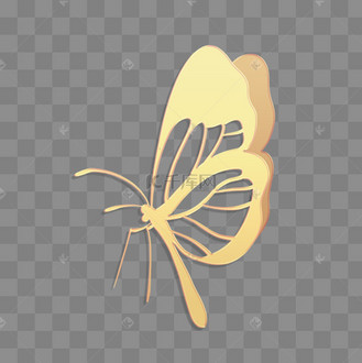 立体金边浮雕蝴蝶花纹