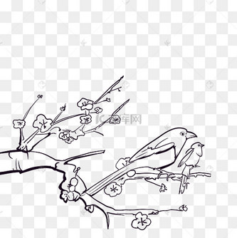 线描喜鹊登梅