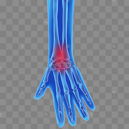 蓝色科技人体手腕