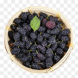 美味水果新鲜桑葚