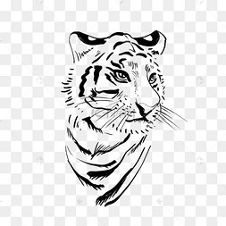 线描老虎虎头