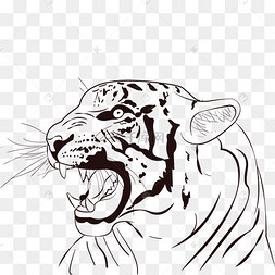矢量线描老虎