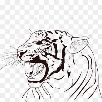 矢量线描老虎