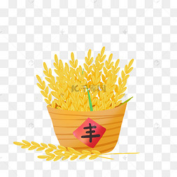 秋季丰收水稻