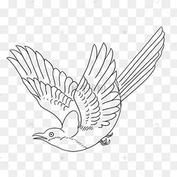 七夕七夕节线描飞翔喜鹊