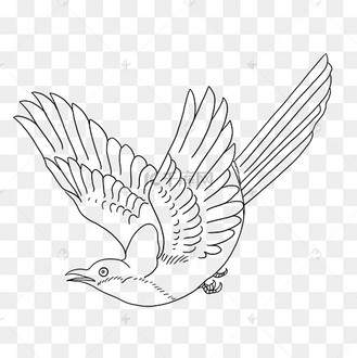 线描飞鸟图片_线描飞鸟设计图片素材大全-千库网
