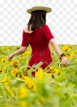向日葵美女背影红裙子赏花